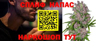 МДПВ Пушкино