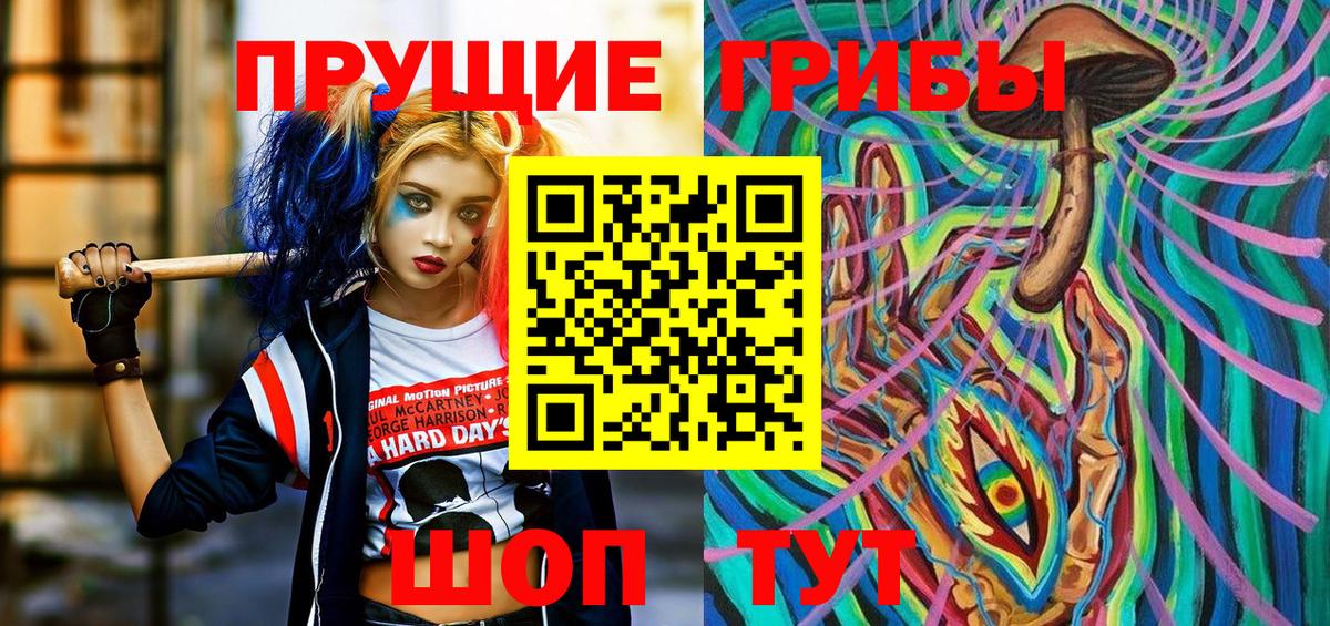 Галлюциногенные грибы Psilocybine cubensis Ногинск